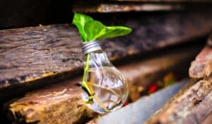 The wrong time to flatten the innovation curve